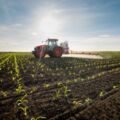 Glyphosate •
On en reprend pour 10 ans ?