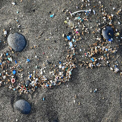 Microplastiques en mer L’urgence sur terre !