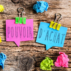 Projet de loi pouvoir d’achat Une douce amertume