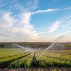 Varenne de l’eau Des bassines pour conforter une agriculture inadaptée