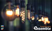 Électricité Une nouvelle campagne d’achat groupé pour faire des économies