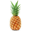 Ananas bio et non bio