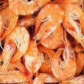 Crevettes d'élevage