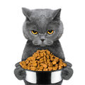 Croquettes pour chats adultes