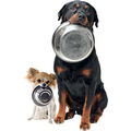 Croquettes pour chien