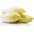 Endives bio et non bio