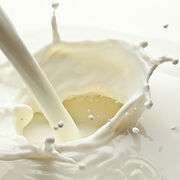 Produits laitiers et glaces