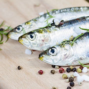 Sardines
