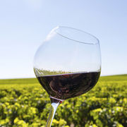 Bordeaux rouges