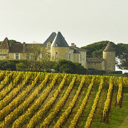 Vins crus bourgeois de Bordeaux