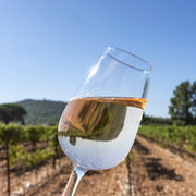 Vins des Côtes-du-Rhône