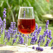 Vins rosés du Midi