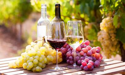 Vin rouge et vin blanc Du raisin, mais pas que…