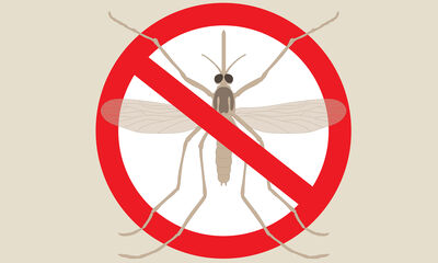 Antimoustiques Nos conseils pour vous défendre contre les moustiques