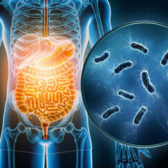Bactéries Éviter les intoxications alimentaires