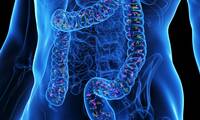 Effets secondaires Les médicaments qui nuisent au microbiote