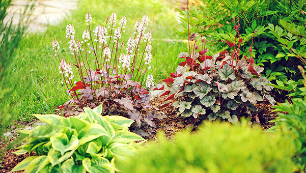 Jardin écoresponsable  Comment réduire les besoins en eau de son jardin