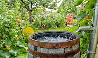 Jardin écoresponsable Comment réduire les besoins en eau de son jardin