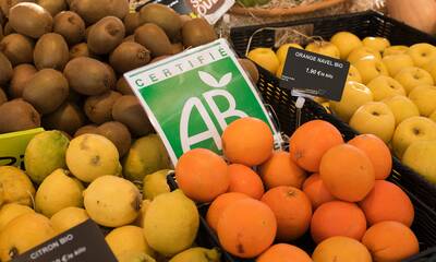 Labels alimentaires Zoom sur les cahiers des charges