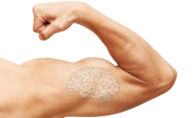 Mémoire, attention, coordination Muscler son cerveau avec l’activité physique