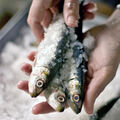 Manger du poisson sans s’intoxiquer