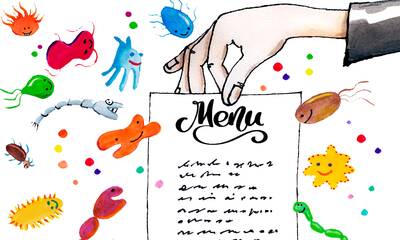 Microbiote Comment bien le nourrir