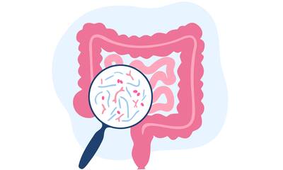 Microbiote Comment le garder en bonne santé