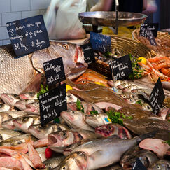Pêche écoresponsable: Comment bien choisir les poissons - SOSCuisine