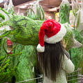 Quel arbre vous branche ?