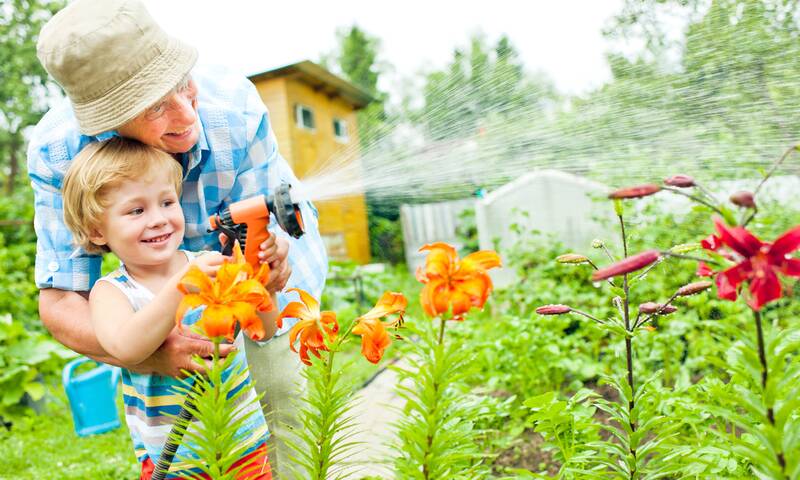 Seniors - L’art d’être grand-parent
