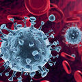 Coronavirus •
Les nouvelles règles de remboursement des vacances, loisirs, locations… (au 8 juin 2020)