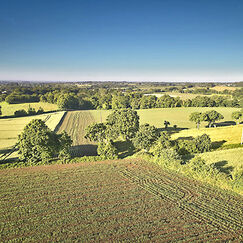 Agriculture Deux chemins vers l’agroécologie