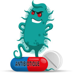 Antibiotiques Comprendre l’antibiorésistance