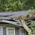Assurance habitation •
Les garanties de base : catastrophe naturelle, tempête, grêle, neige