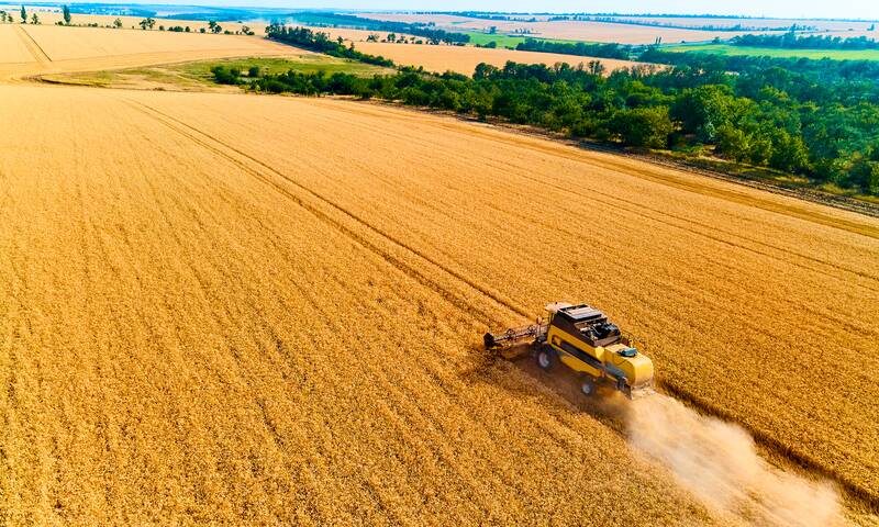Autosuffisance alimentaire Notre pays en quête d’autonomie