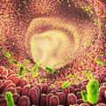 Bactéries •
Quel est le rôle du microbiote dans la santé mentale ?