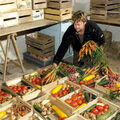 Du producteur au consommateur