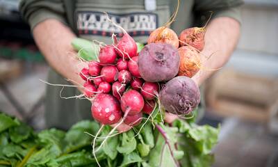 Circuits courts Du producteur au consommateur