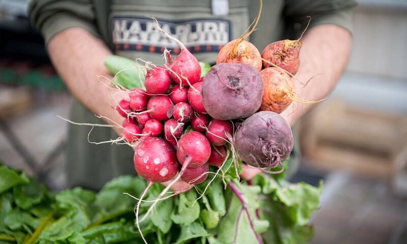 Circuits courts Du producteur au consommateur