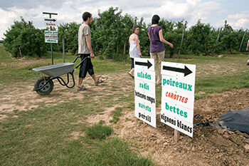 Les jardins d’Imbermais, cueillette directe en Eure-et-Loir. Cueillette directe