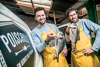 Poiscaille, un service de livraison de poissons frais en région parisienne. Poiscaille, un service de livraison de poissons frais en région parisienne.
