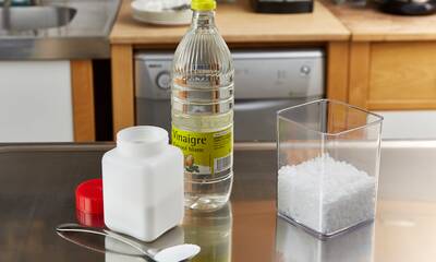 Détergent maison pour lave-vaisselle Vertueux mais guère performant