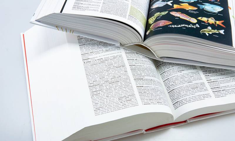 Édition « Le » dico, ça n’existe pas !