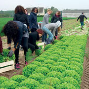 Gaspillage alimentaire Les initiatives antigaspi