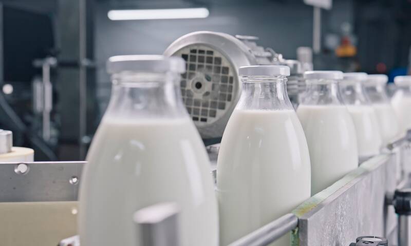 Industrie Les 1 001 usages du lait
