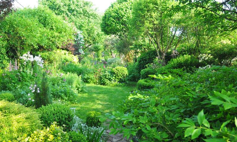 Jardinage - Des merveilles sans pesticides