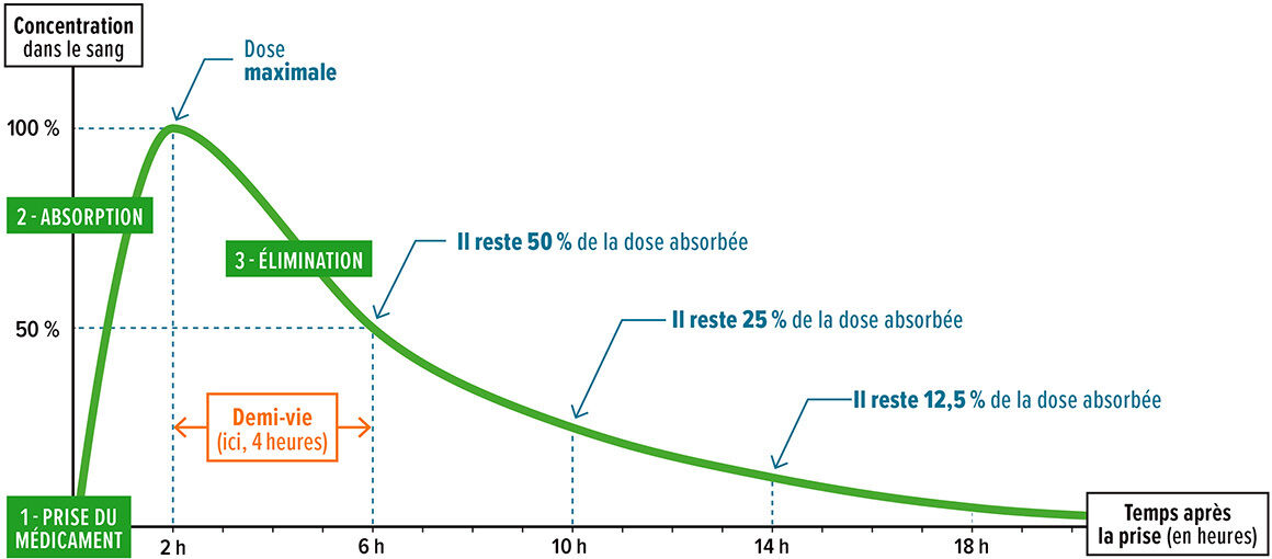 Un temps d’élimination du médicament