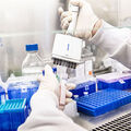 Les biotechs et l’industrie pharmaceutique