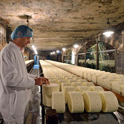 Nutri-Score Inadapté pour les fromages AOP, vraiment ?
