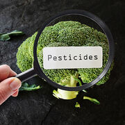 Pesticides Les résidus à risque les plus fréquemment détectés dans notre alimentation